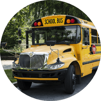 Buses